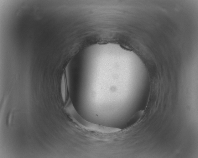 X0000074970033200609152134