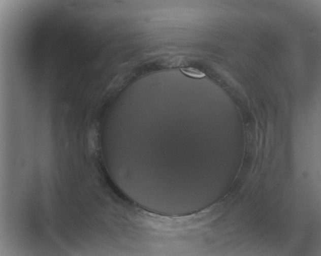 X0000074970035200609152134