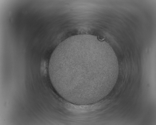 X0000074970038200609152134