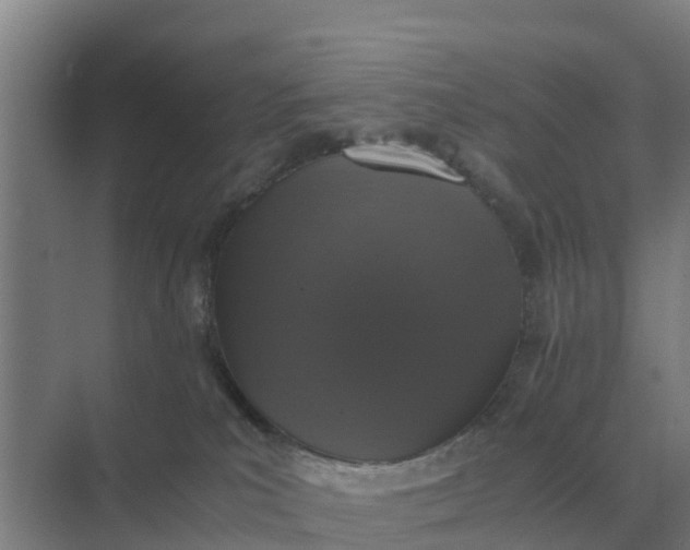 X0000074970039200609152134