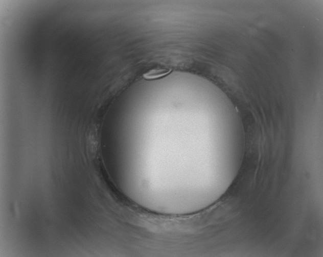 X0000074970040200609152134