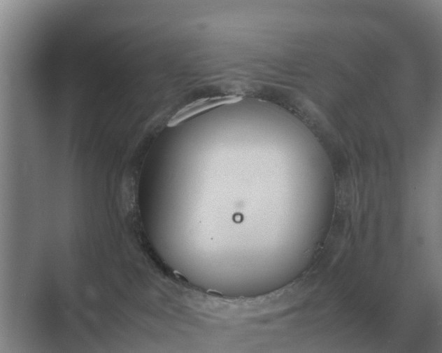 X0000074970043200609152134