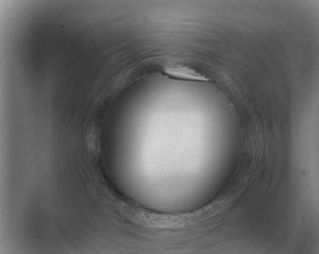 X0000074970044200609152134