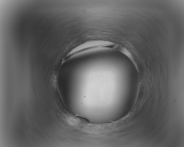 X0000074970045200609152134