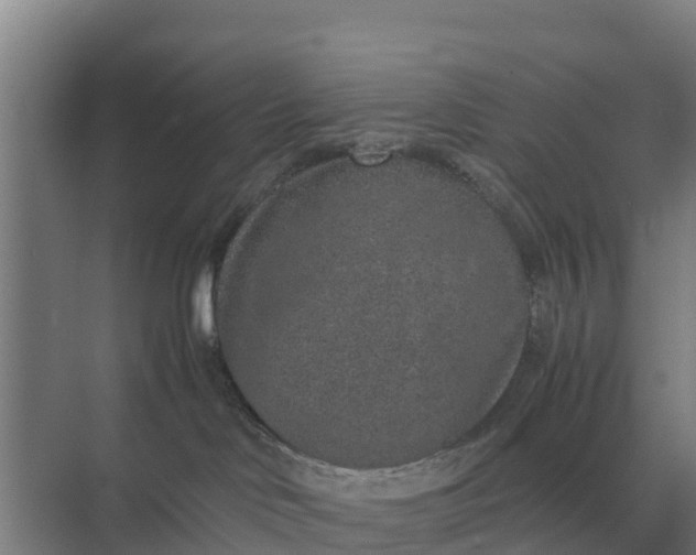 X0000074970046200609152134