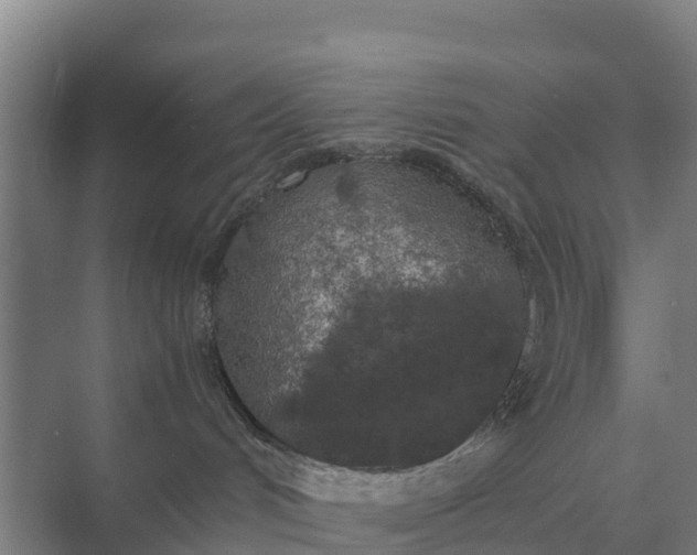 X0000074970048200609152134