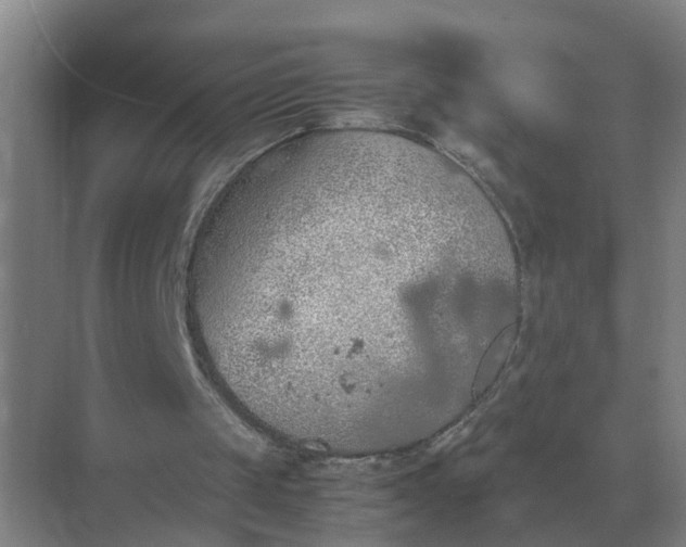 X0000074970049200609152133