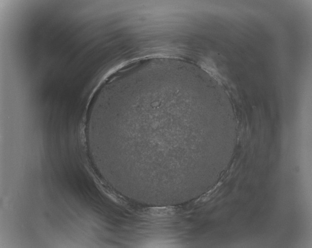 X0000074970050200609152133