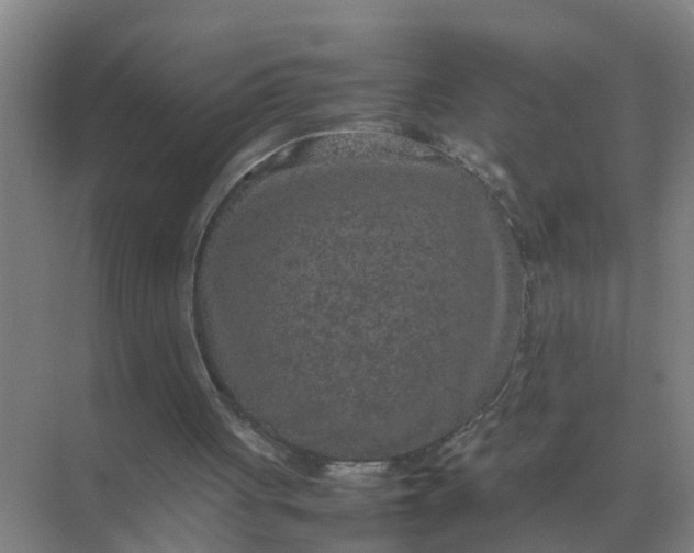 X0000074970051200609152133