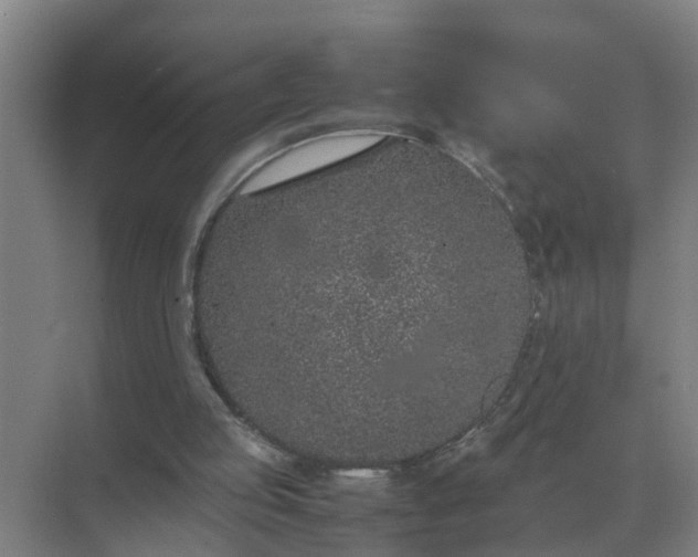 X0000074970053200609152133