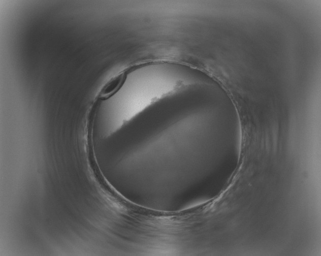 X0000074970054200609152133