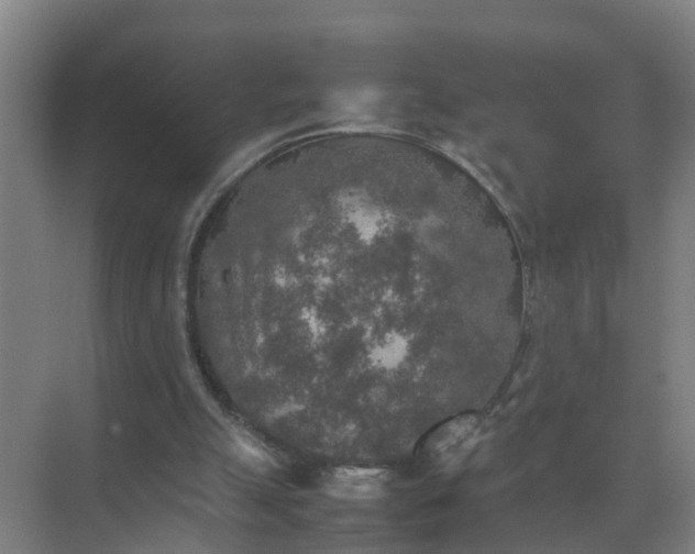 X0000074970055200609152133