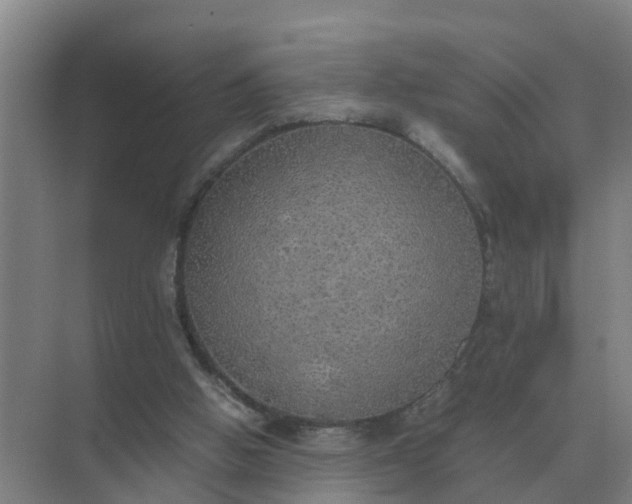 X0000074970058200609152133