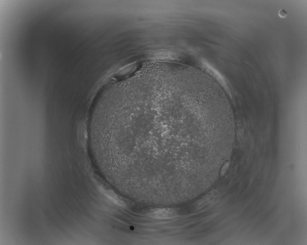 X0000074970059200609152133