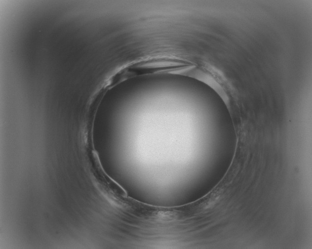 X0000074970060200609152133