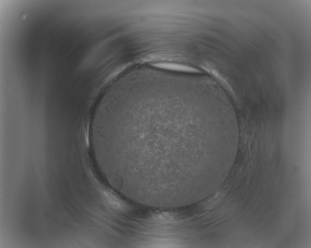 X0000074970062200609152133