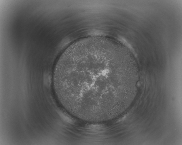 X0000074970063200609152133