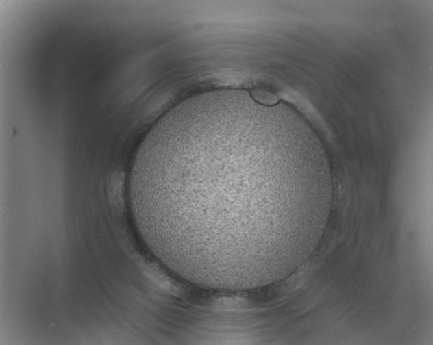 X0000074970066200609152133