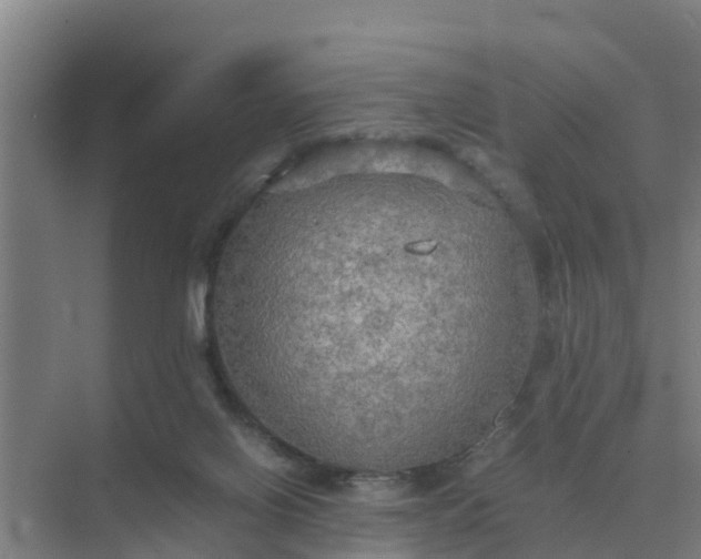 X0000074970070200609152133