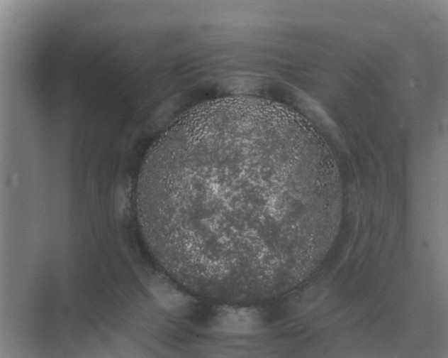 X0000074970073200609152133