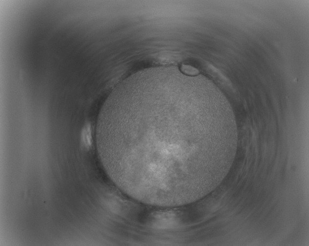 X0000074970075200609152133