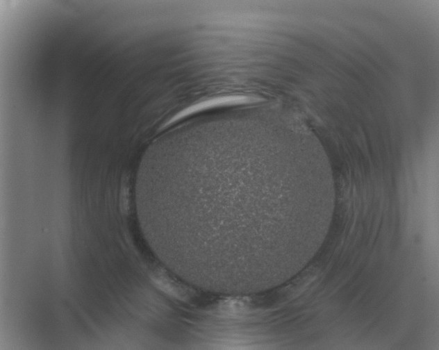 X0000074970080200609152133