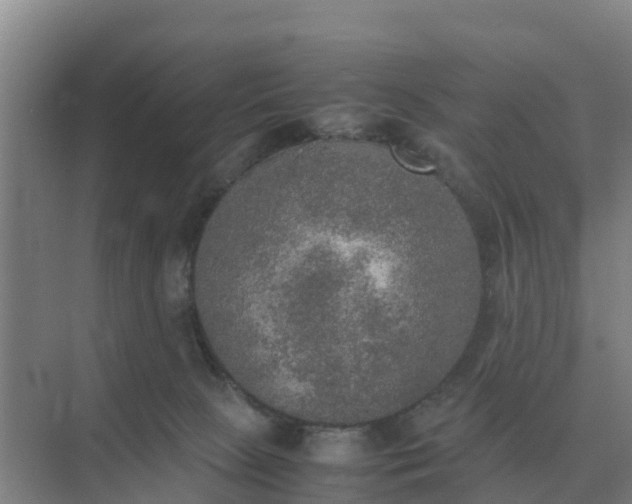 X0000074970081200609152133