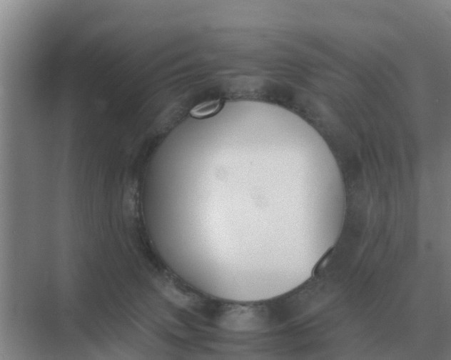 X0000074970083200609152133