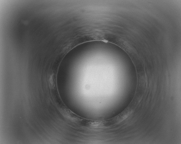 X0000074970088200609152133