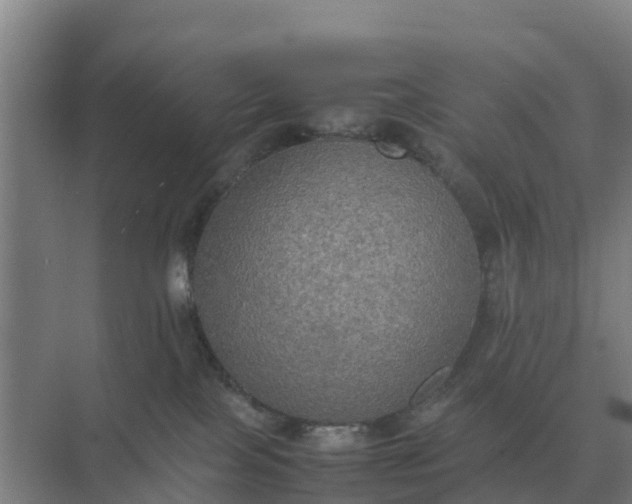 X0000074970089200609152133