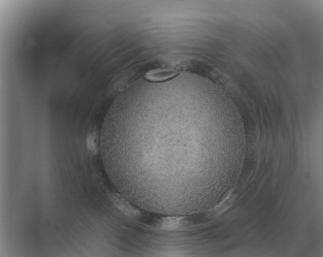 X0000074970090200609152133