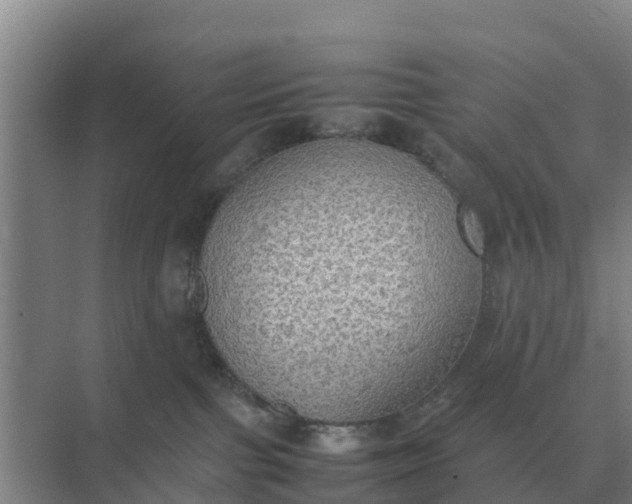 X0000074970091200609152133