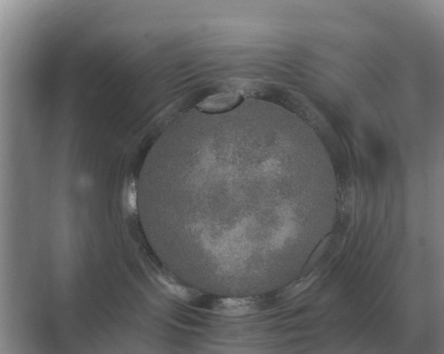 X0000074970095200609152134