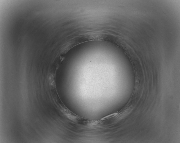 X0000074970096200609152134