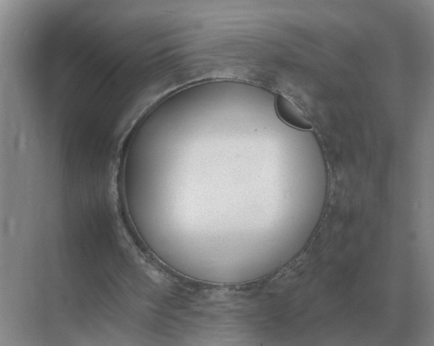 X0000074970098200609152133