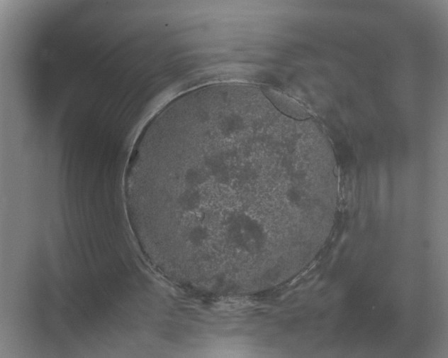 X0000074970099200609152133