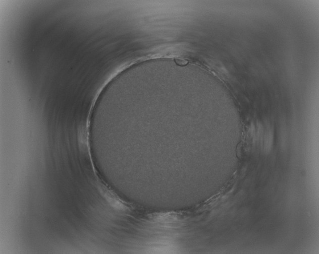 X0000074970100200609152133