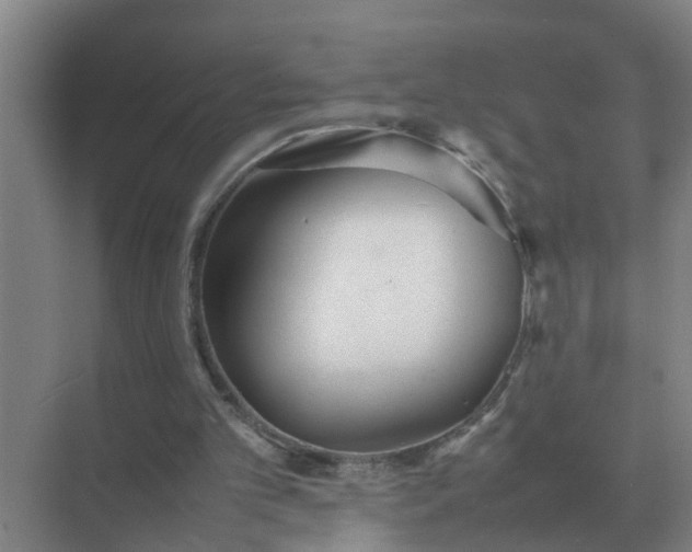 X0000074970101200609152133