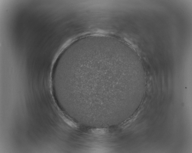 X0000074970102200609152133