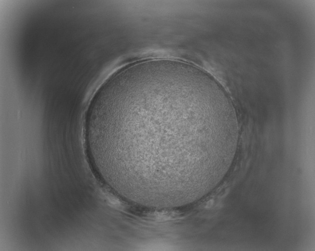 X0000074970103200609152133