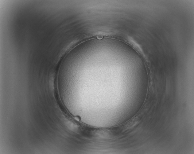 X0000074970106200609152133