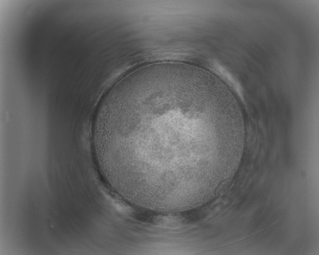 X0000074970107200609152133