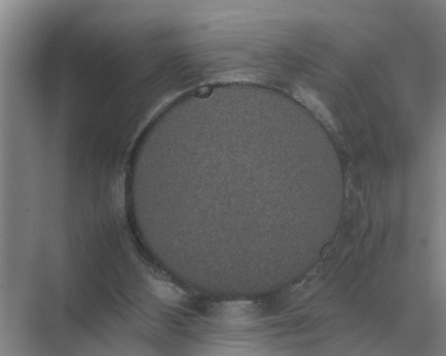 X0000074970108200609152133