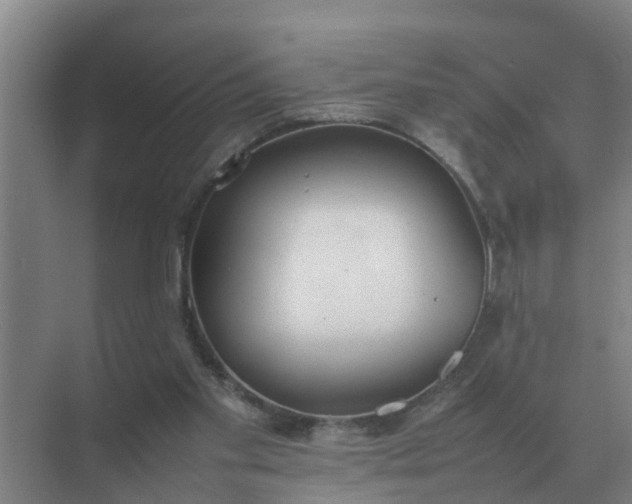 X0000074970109200609152133