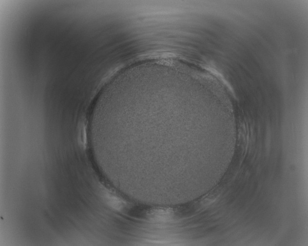 X0000074970110200609152133