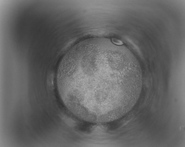 X0000074970115200609152132