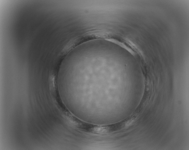 X0000074970117200609152132