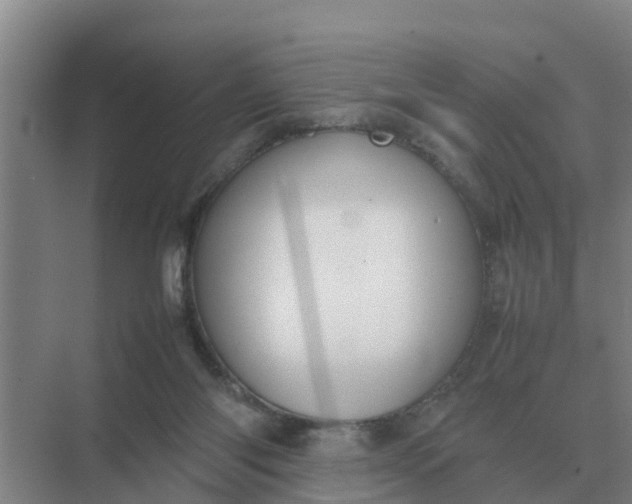 X0000074970118200609152132