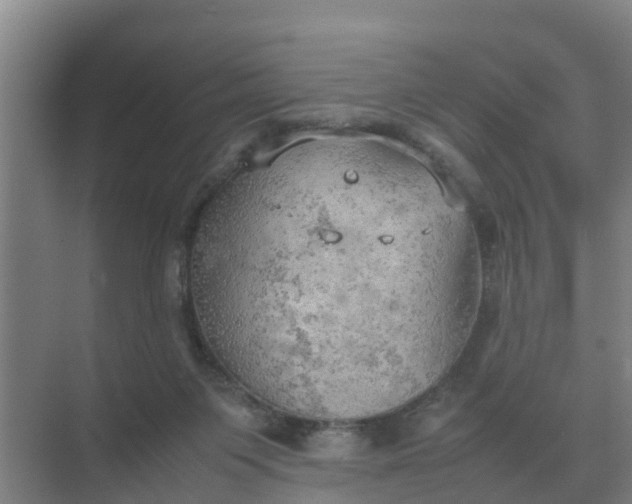 X0000074970119200609152132