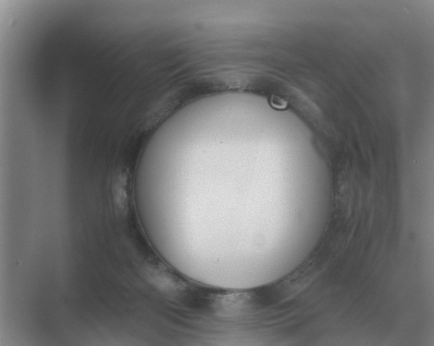 X0000074970122200609152132